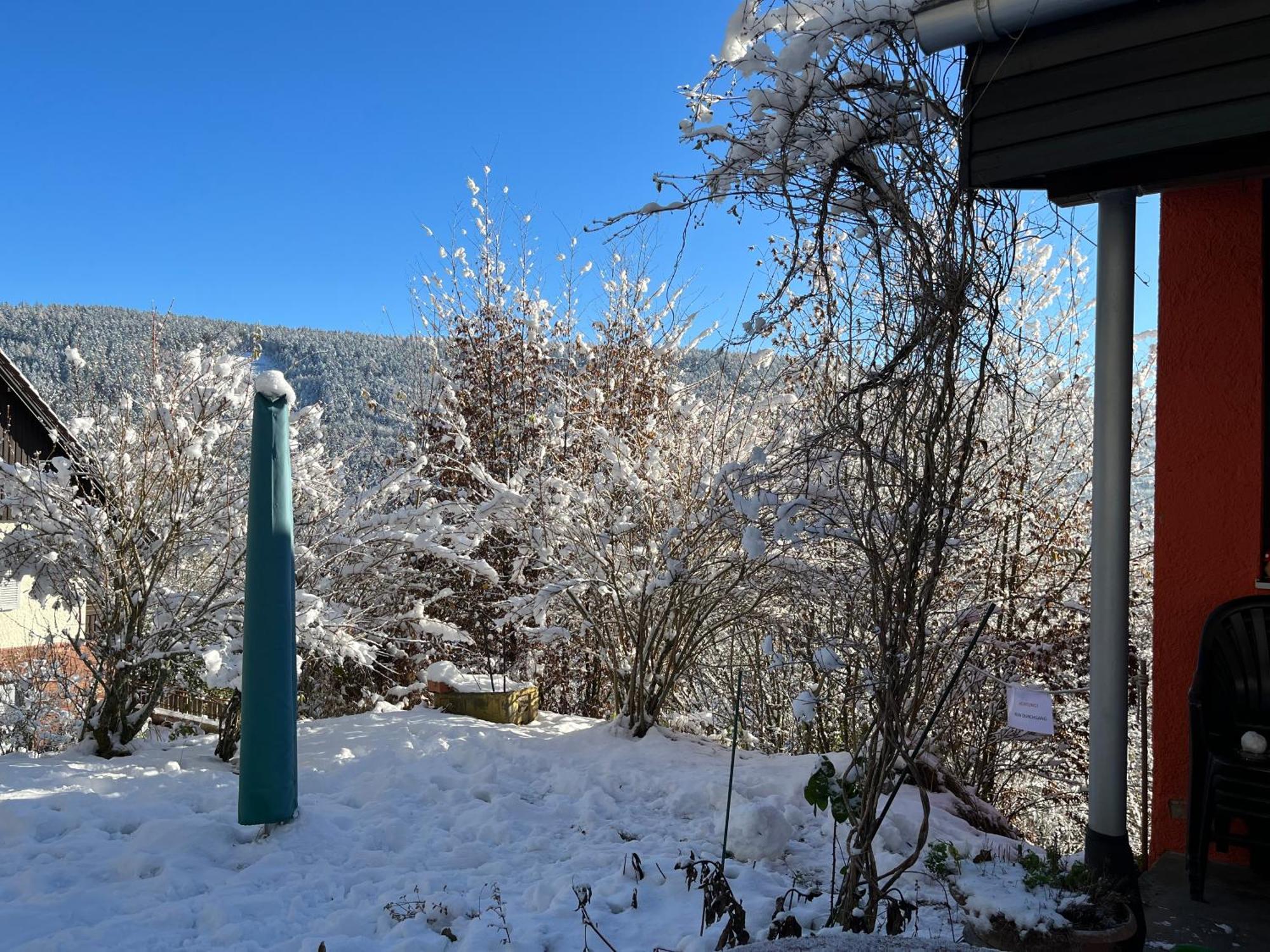 Appartamento Waldhaus Max Bad Wildbad Esterno foto
