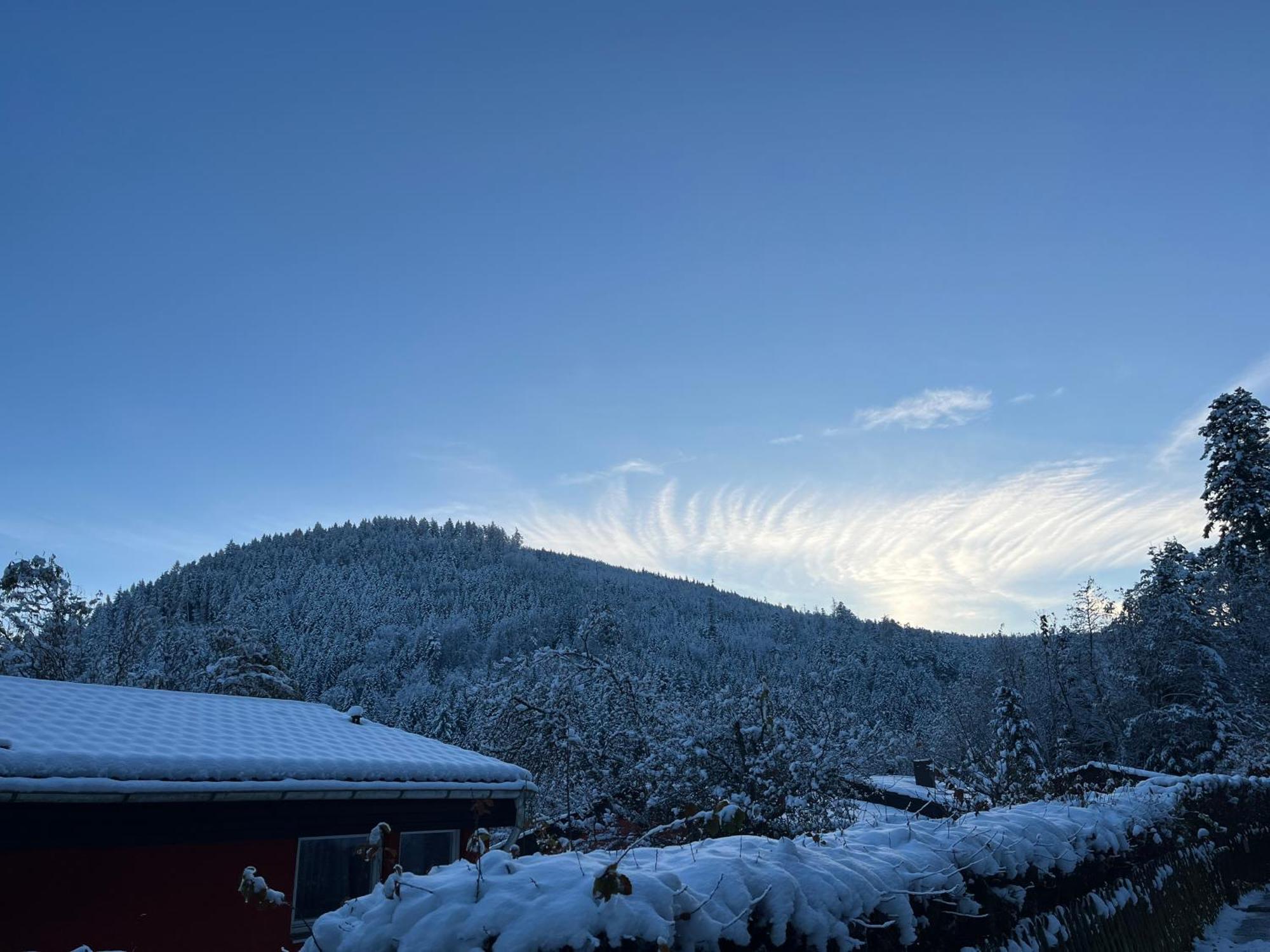 Appartamento Waldhaus Max Bad Wildbad Esterno foto