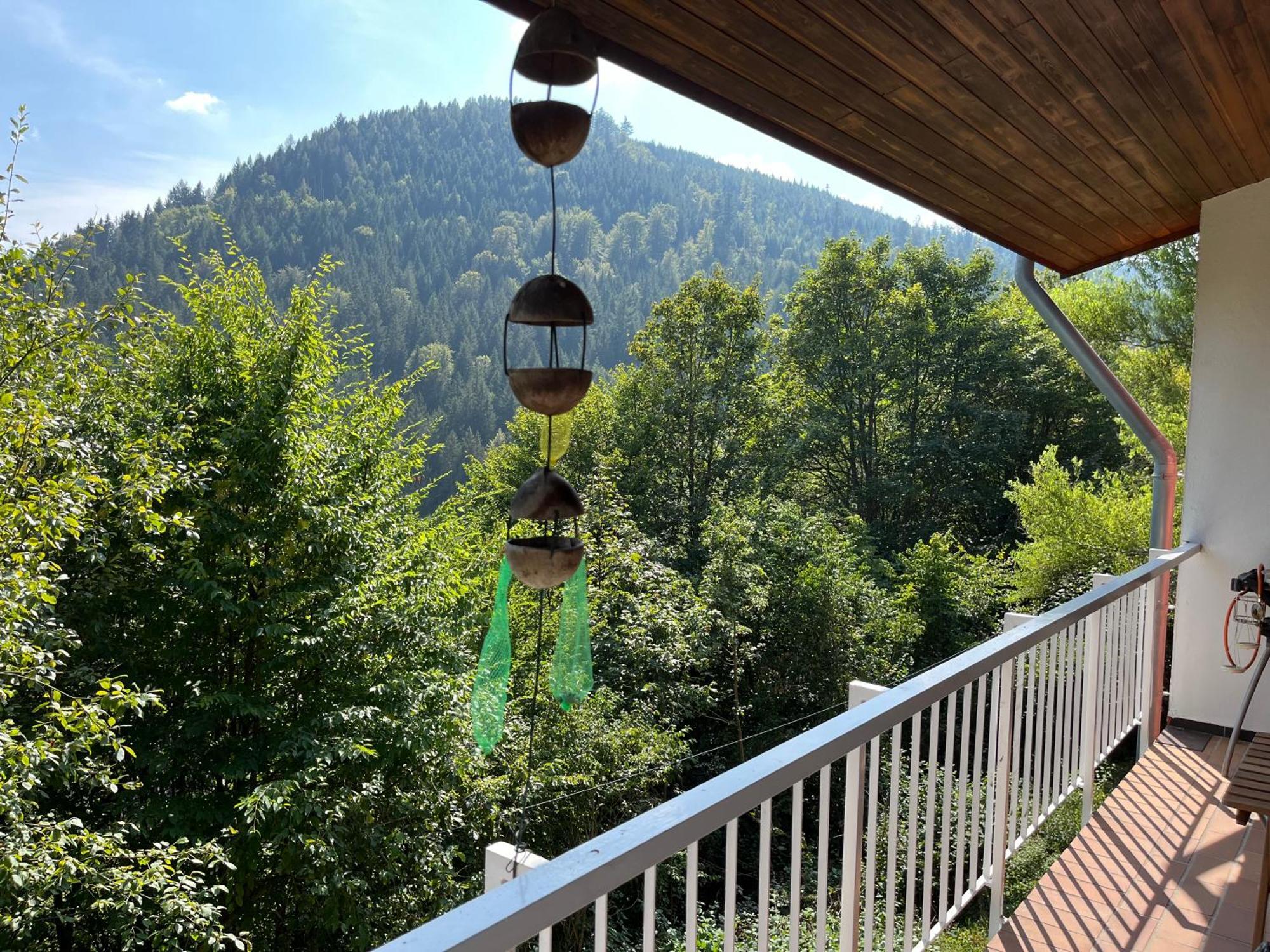 Appartamento Waldhaus Max Bad Wildbad Esterno foto